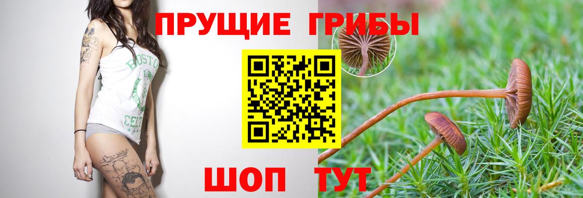 Галлюциногенные грибы Cubensis  Вход с VPN  Псилоцибиновые грибы Cubensis  Симферополь 